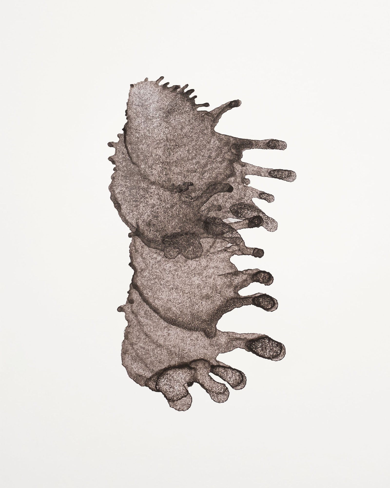 Dunkelbraune Wurzel-Tarnung